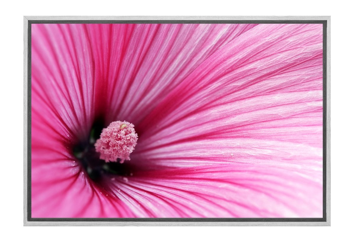 Pink Hibiscus | Flower Wall Art Print