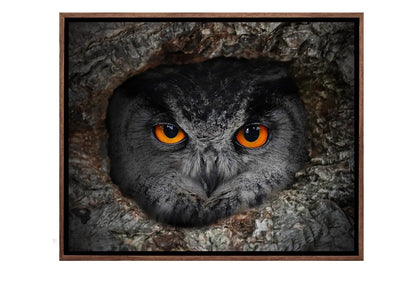 Peeking Owl | Canvas Art Print