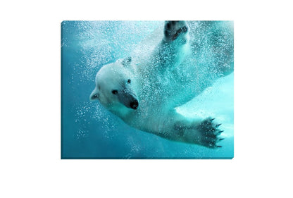 Polar Bear | Animal Canvas Wall Art Decor