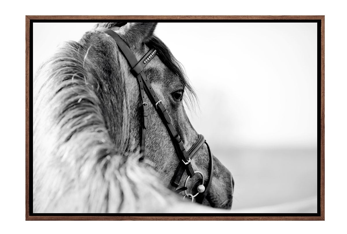 Horse | Canvas Wall Art Decor