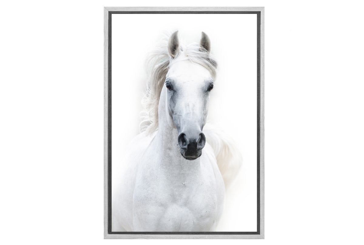 Horse 2 | Canvas Wall Art Print