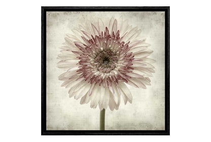 Vintage Daisy | Canvas Wall Art Print