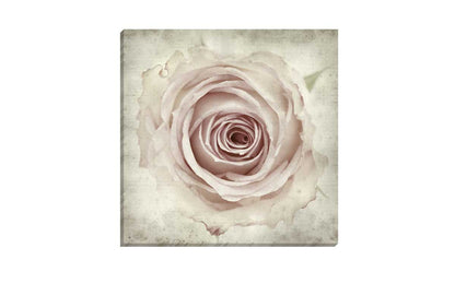 Vintage Rose Bud | Canvas Wall Art Print