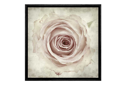 Vintage Rose Bud | Canvas Wall Art Print