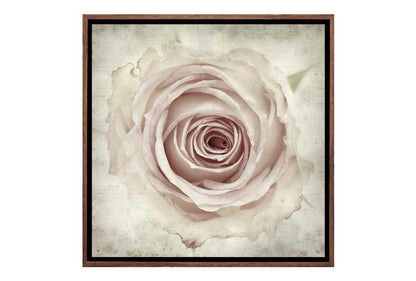 Vintage Rose Bud | Canvas Wall Art Print