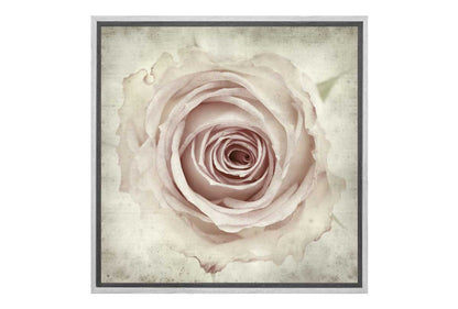 Vintage Rose Bud | Canvas Wall Art Print