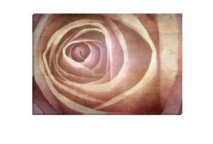 Rose Bud in Sepia Tone | Canvas Wall Art Print