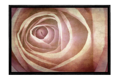 Rose Bud in Sepia Tone | Canvas Wall Art Print