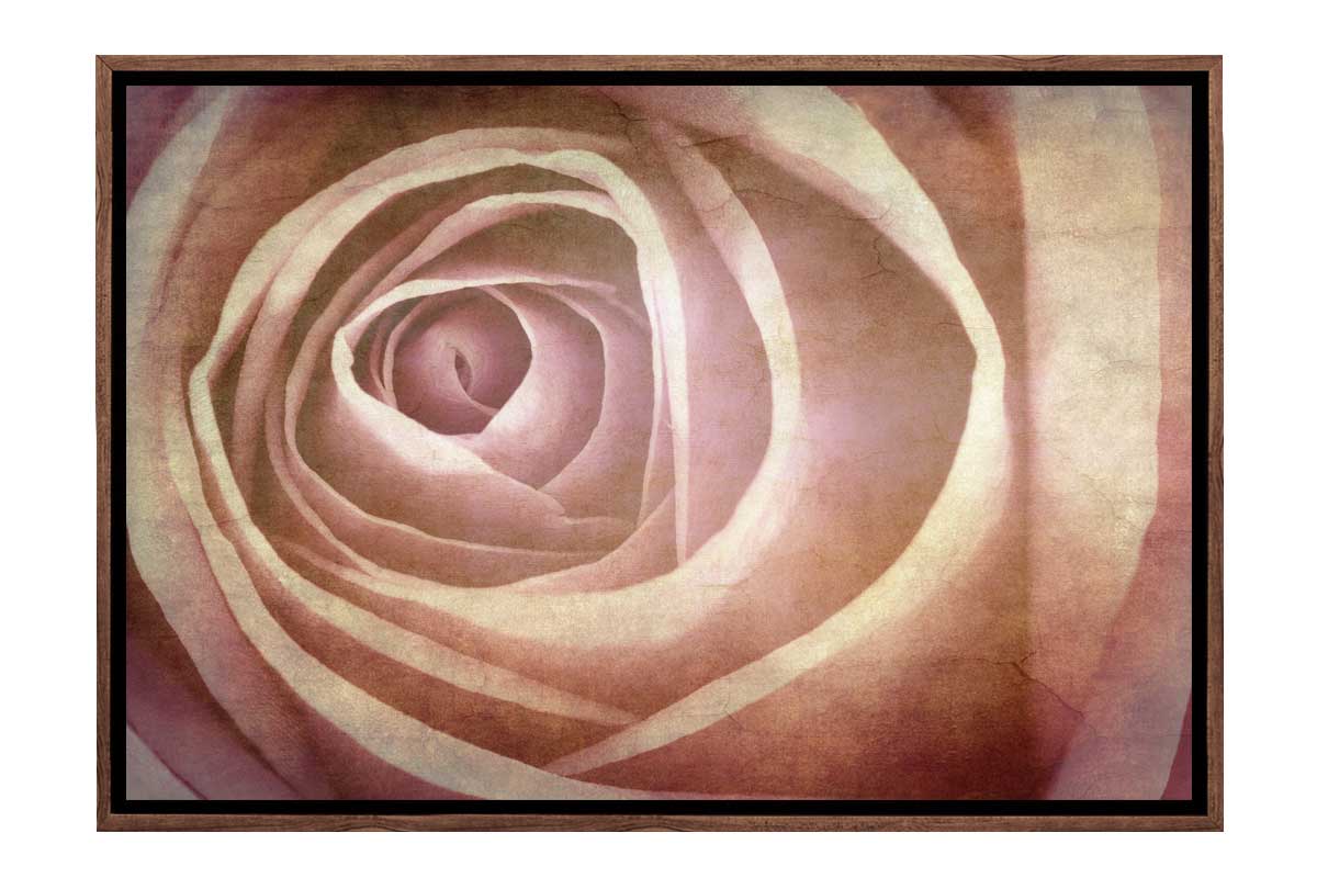 Rose Bud in Sepia Tone | Canvas Wall Art Print