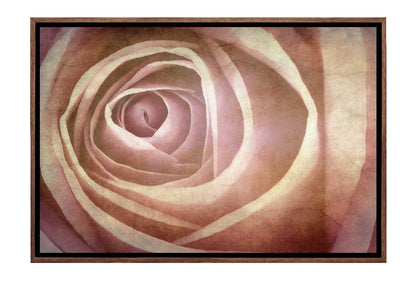 Rose Bud in Sepia Tone | Canvas Wall Art Print