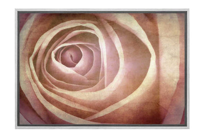 Rose Bud in Sepia Tone | Canvas Wall Art Print