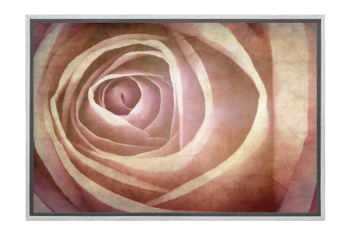 Rose Bud in Sepia Tone | Canvas Wall Art Print
