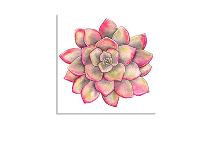 Green Red Succulent | Canvas Wall Art Print