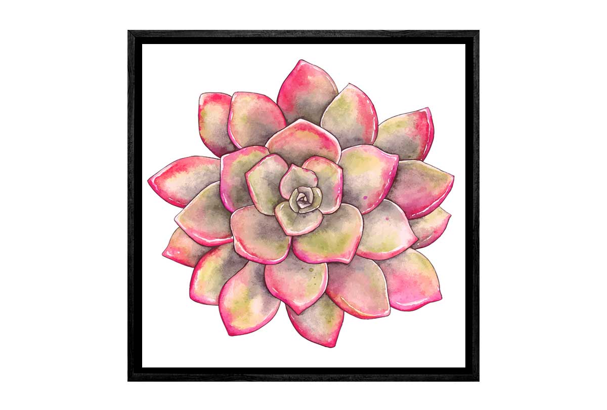 Green Red Succulent | Canvas Wall Art Print
