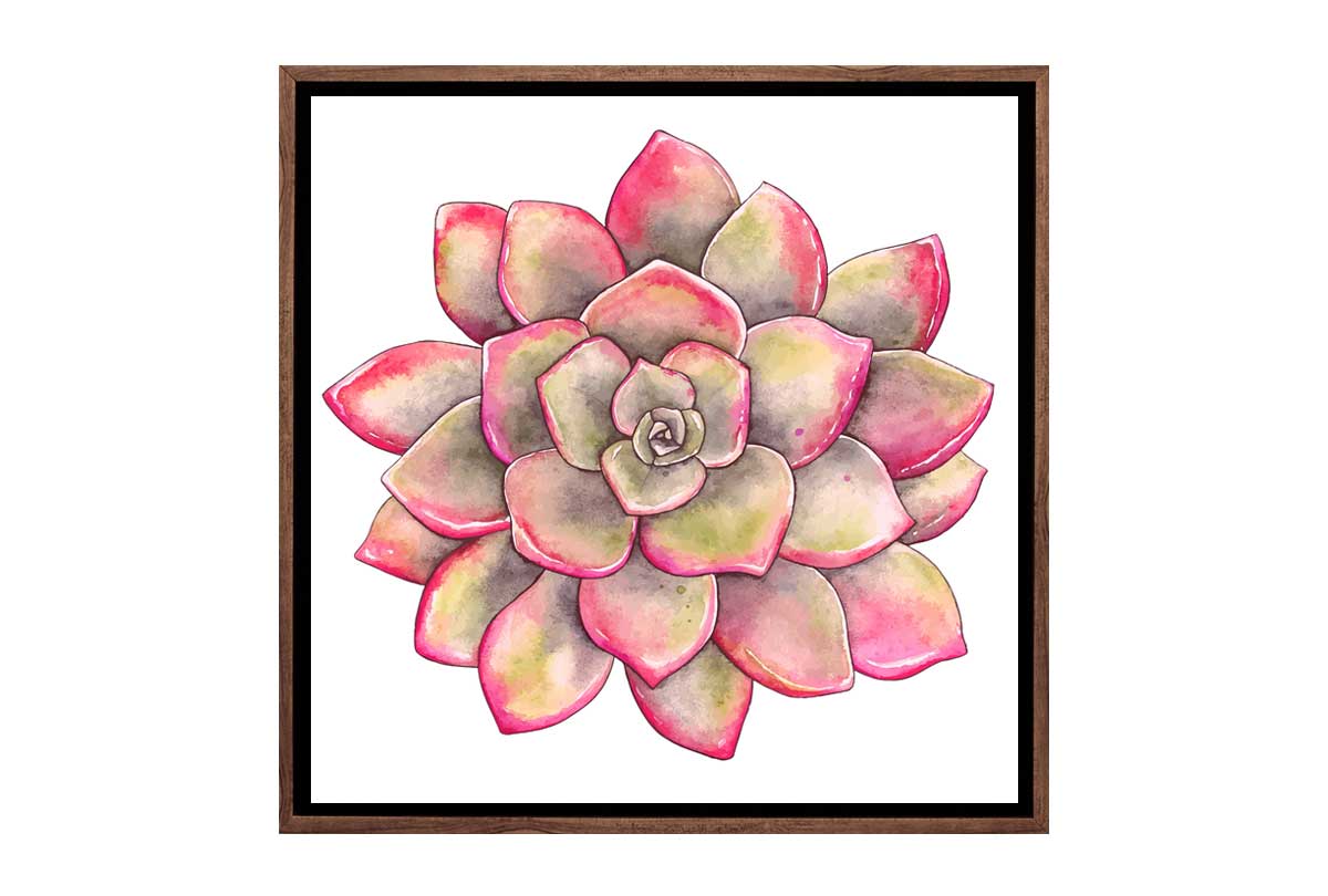 Green Red Succulent | Canvas Wall Art Print