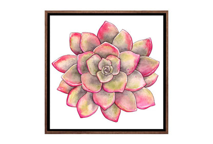 Green Red Succulent | Canvas Wall Art Print