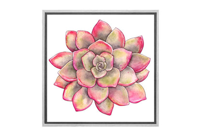 Green Red Succulent | Canvas Wall Art Print