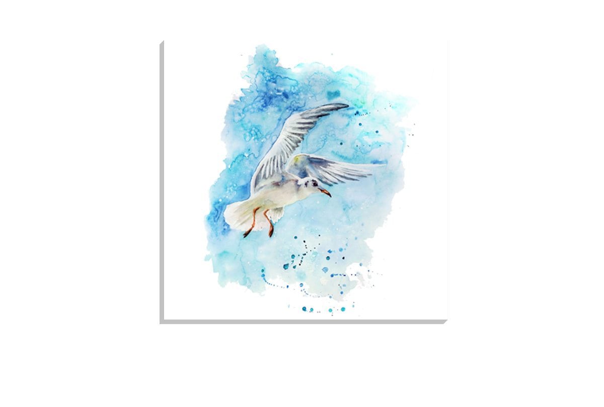 Gull | Bird Canvas Wall Art Print