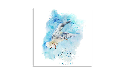 Gull | Bird Canvas Wall Art Print