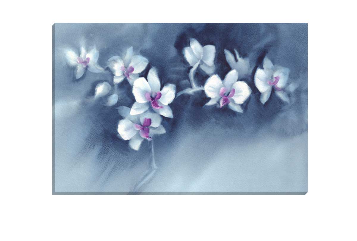 White Orchid Watercolour | Canvas Wall Art Print