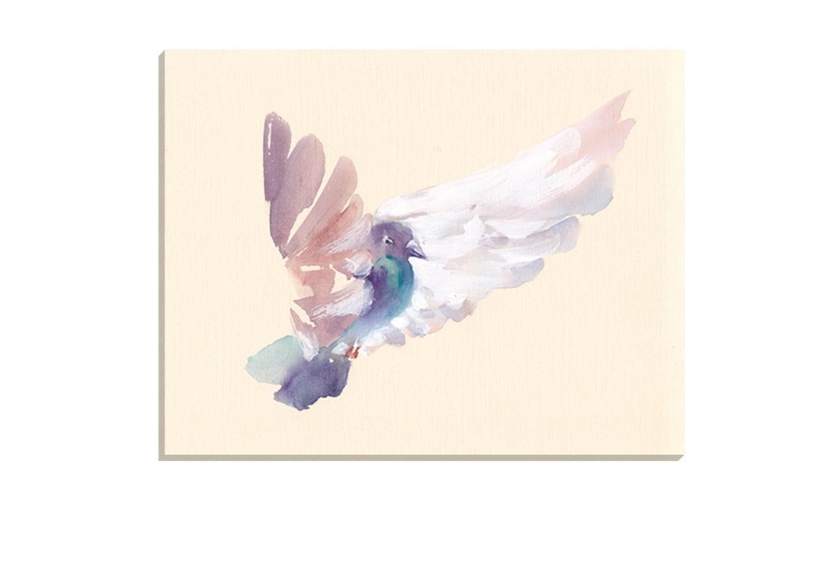 Pigeon | Canvas Art Print
