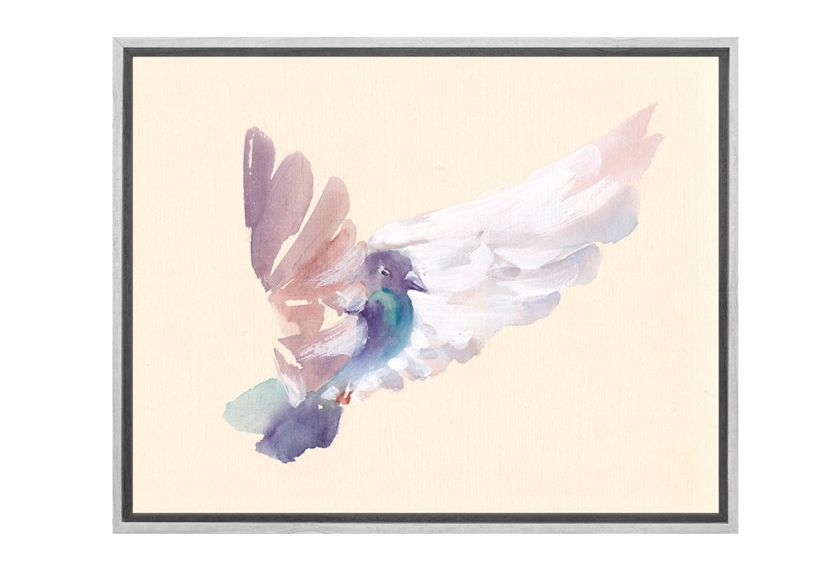 Pigeon | Canvas Art Print