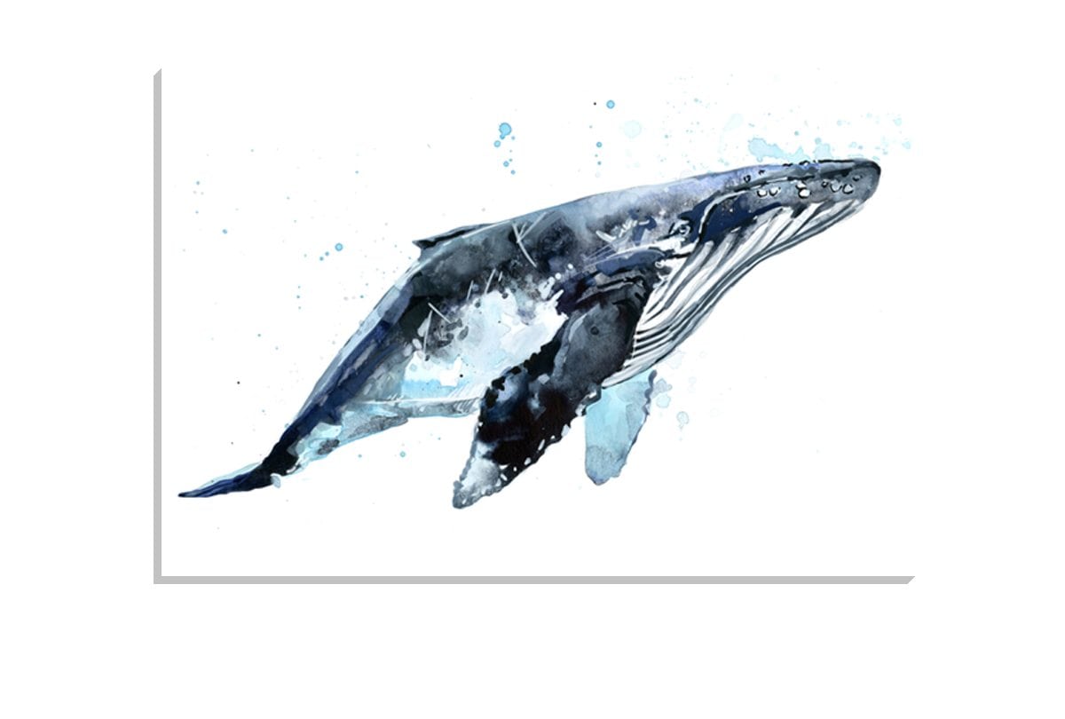 Whale Watercolour | Animal Canvas Wall Art Print