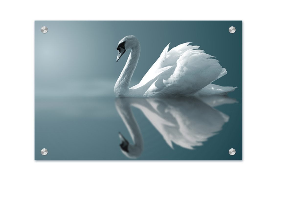 White Swan | Canvas Art Print