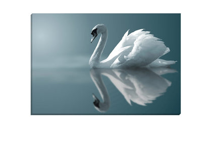 White Swan | Canvas Art Print