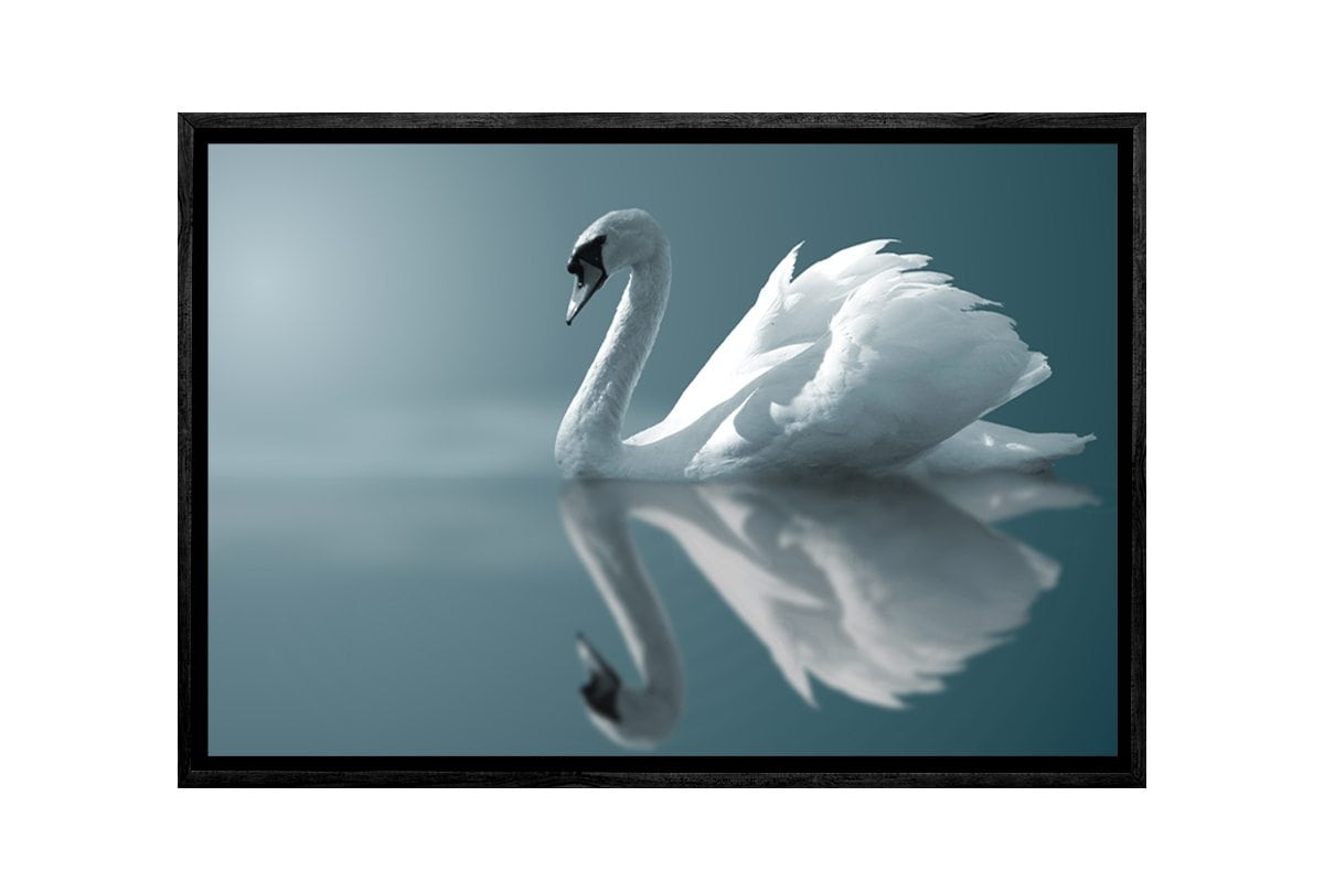 White Swan | Canvas Art Print
