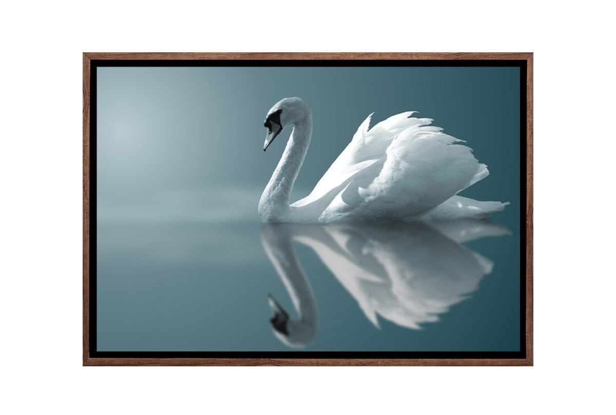 White Swan | Canvas Art Print