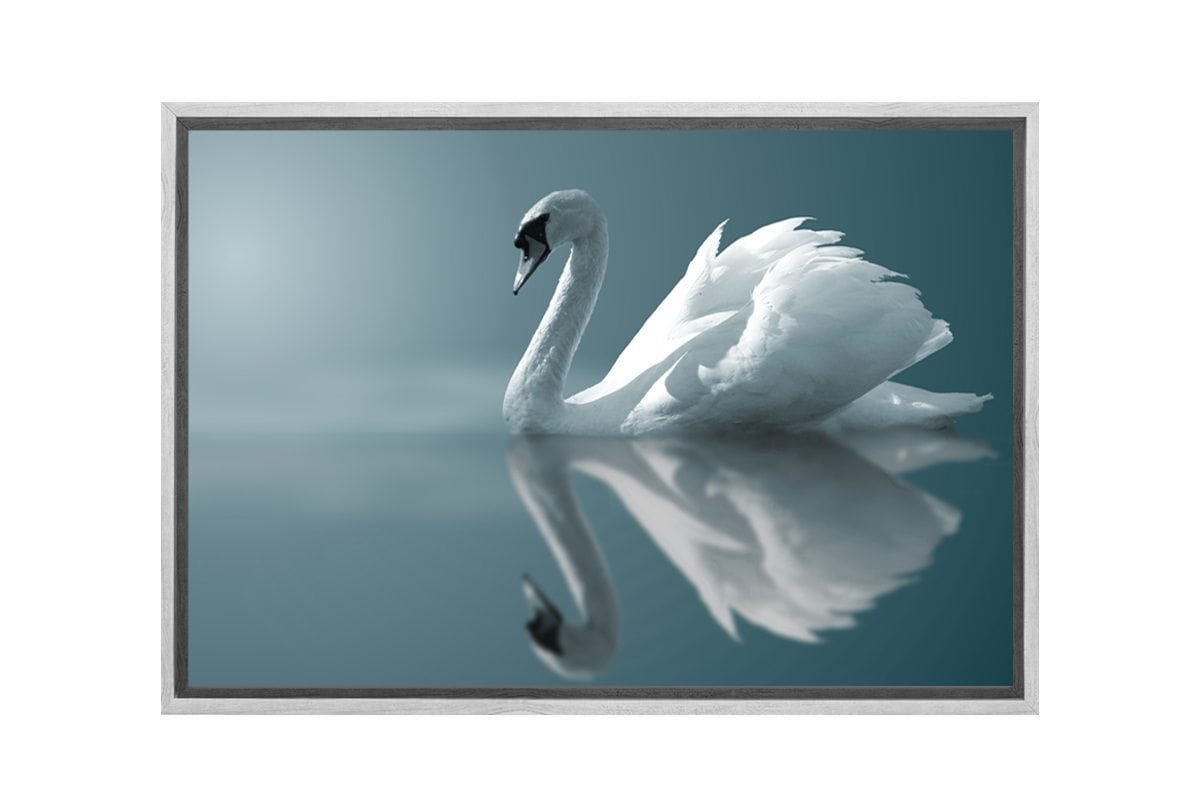 White Swan | Canvas Art Print