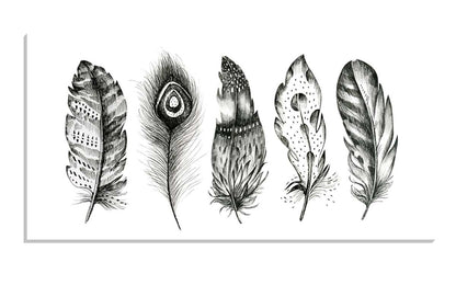 Black & White Feathers | Canvas Wall Art Print