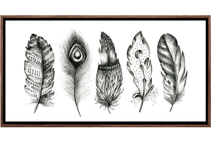 Black & White Feathers | Canvas Wall Art Print