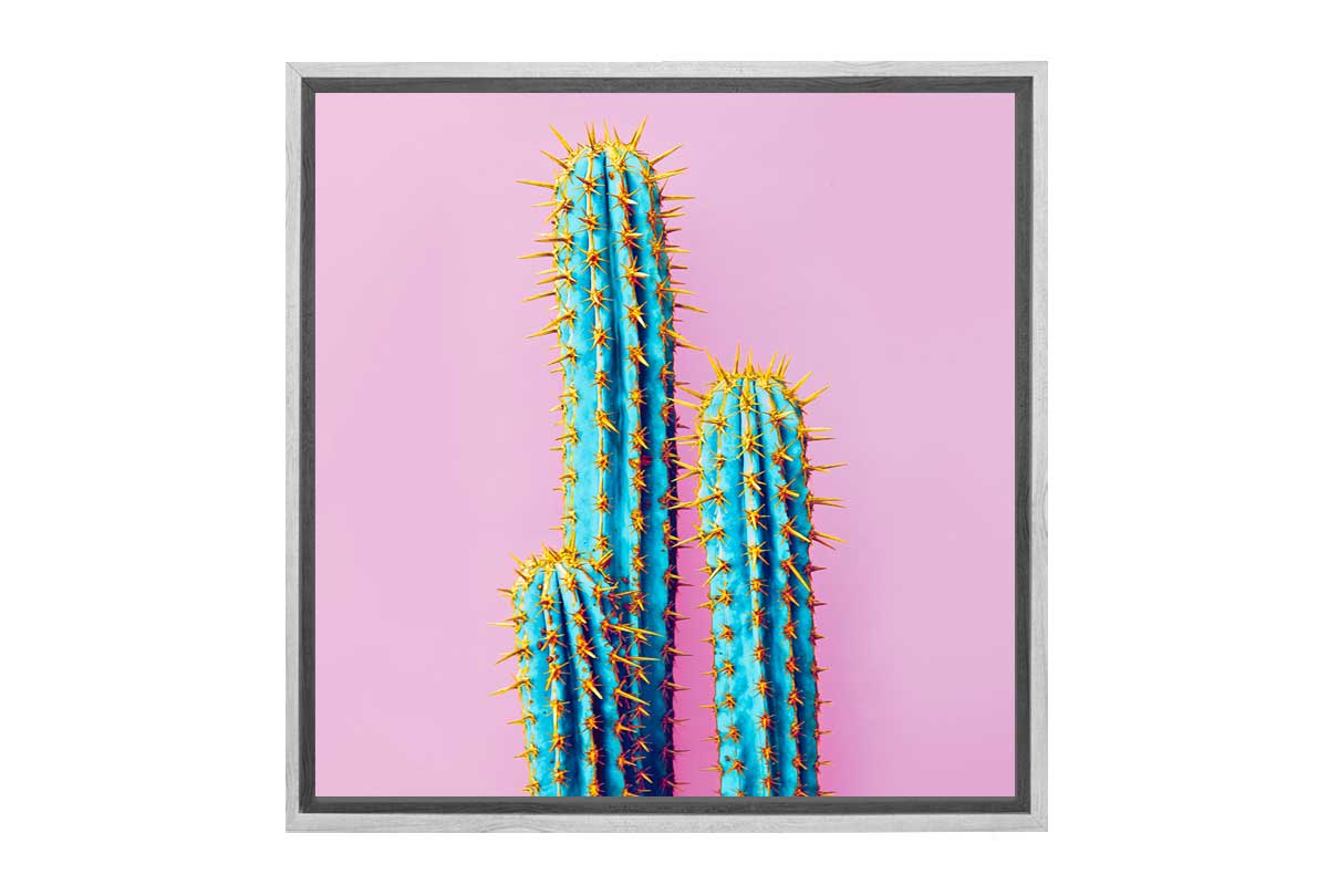Cactus with Pink Background | Canvas Wall Art Print