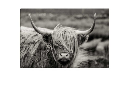 Highland Cow Monochrome | Canvas Wall Art Print