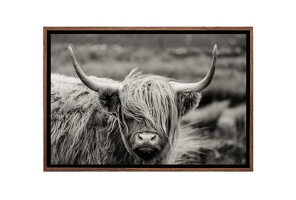 Highland Cow Monochrome | Canvas Wall Art Print