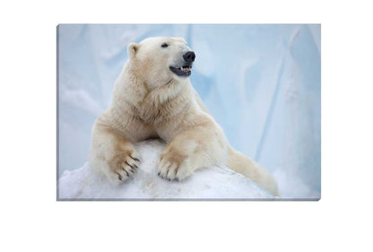 Polar Bear Portrait | Canvas Wall Art Print