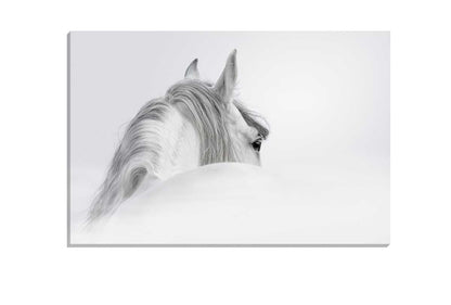 White Horse Print | Canvas Wall Art Print
