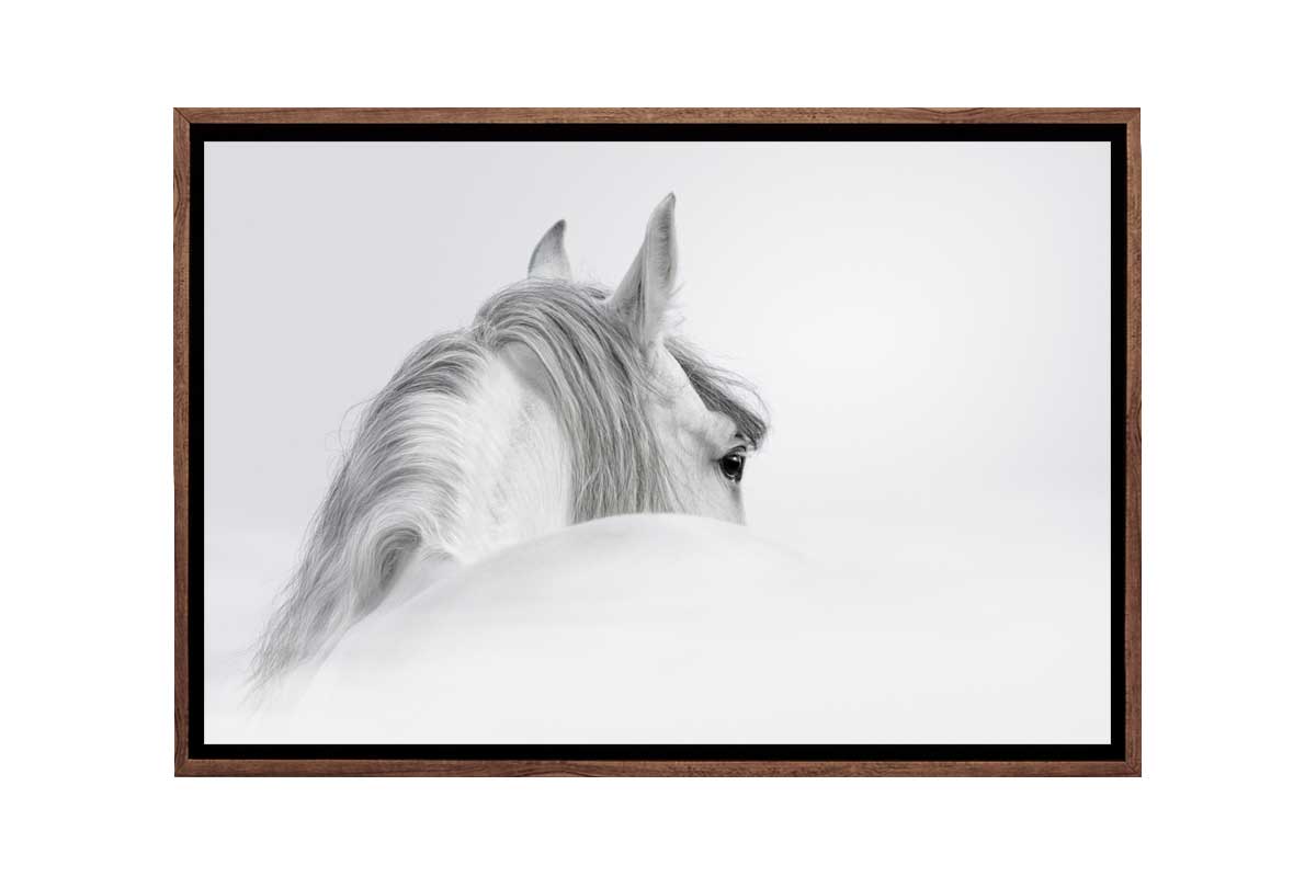 White Horse Print | Canvas Wall Art Print