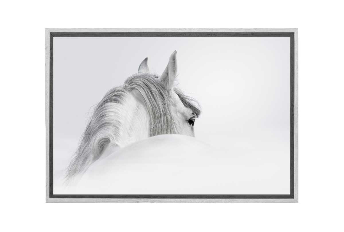 White Horse Print | Canvas Wall Art Print