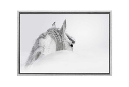 White Horse Print | Canvas Wall Art Print