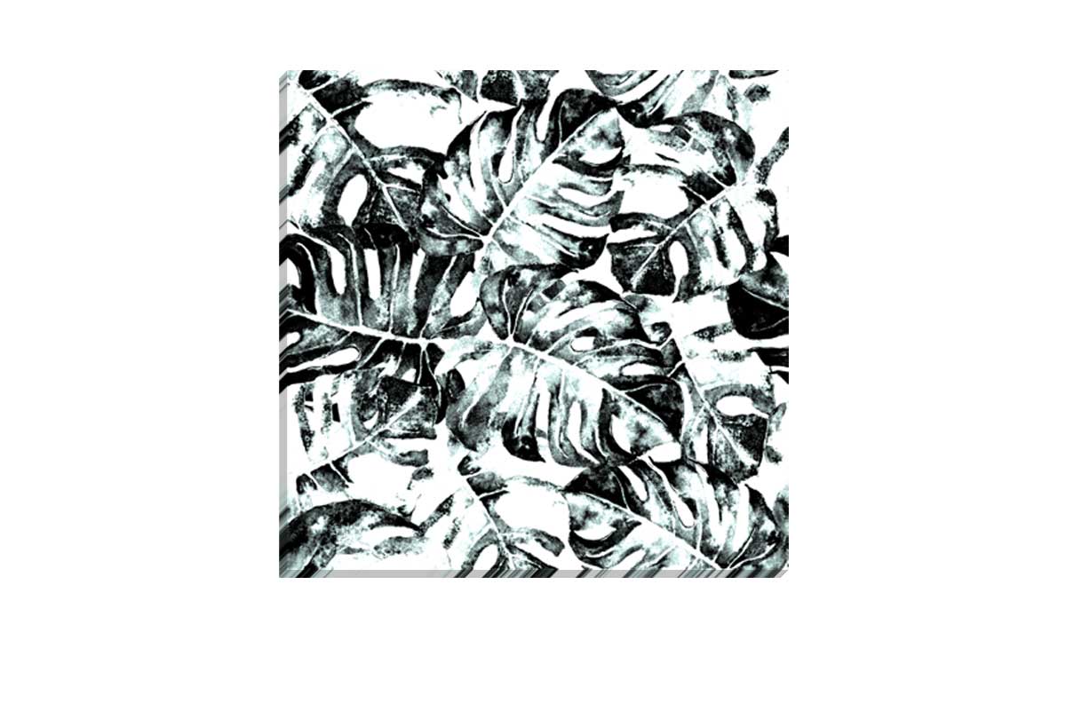 Black and White Monstera | Canvas Wall Art Print