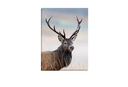 Deer Stag Portrait | Canvas Wall Art Print