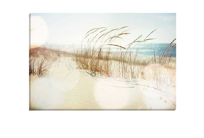 Beach Dune Grass | Canvas Wall Art Print