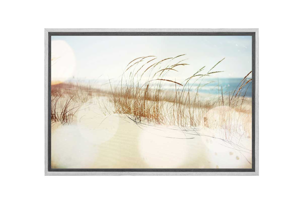 Beach Dune Grass | Canvas Wall Art Print