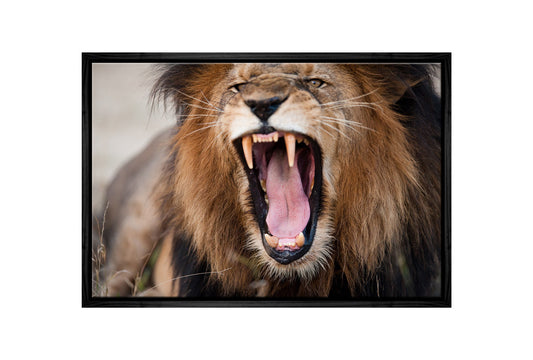Roaring Lion | Wall Art Print