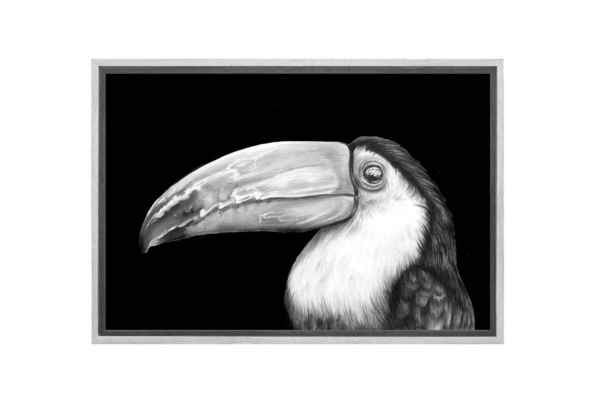 Toucan | Canvas Wall Art Print