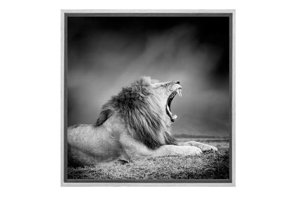 Lion Roar | Animal Canvas Wall Art Print