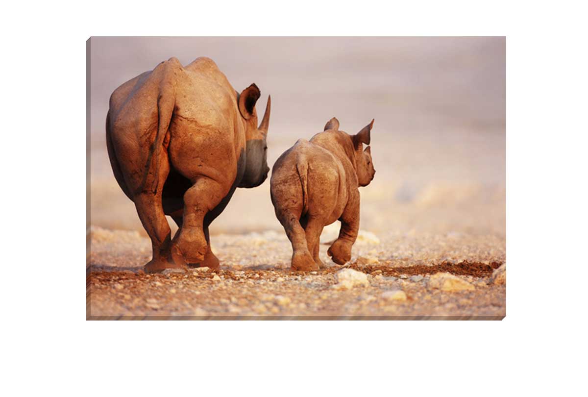 Rhino | Canvas Art Print